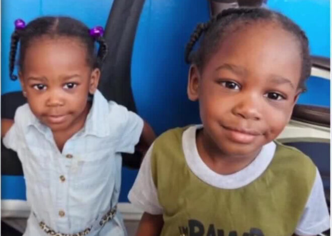 Tragic Confession: Mother Arrested After Admitting Plan to Kill Twin Toddlers and Herself