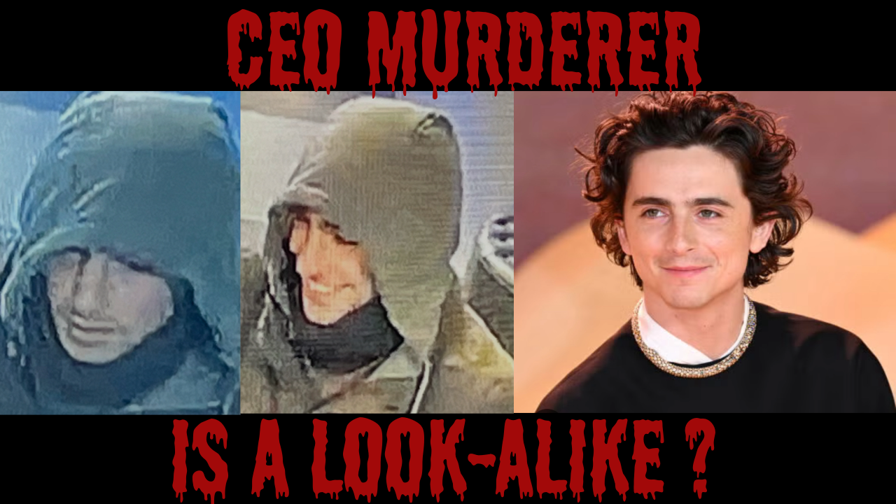 Does New York City United Healthcare CEO Killer look like Timothée Chalamet?